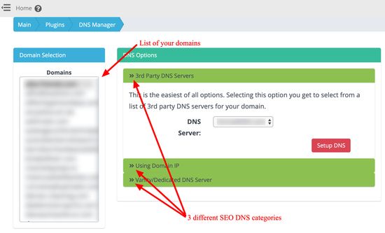 Smart SEO DNS Manager - Основной интерфейс